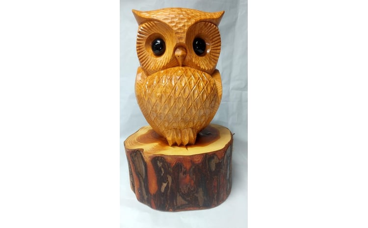 sd1_5a655453fa8c6349448939cfe1