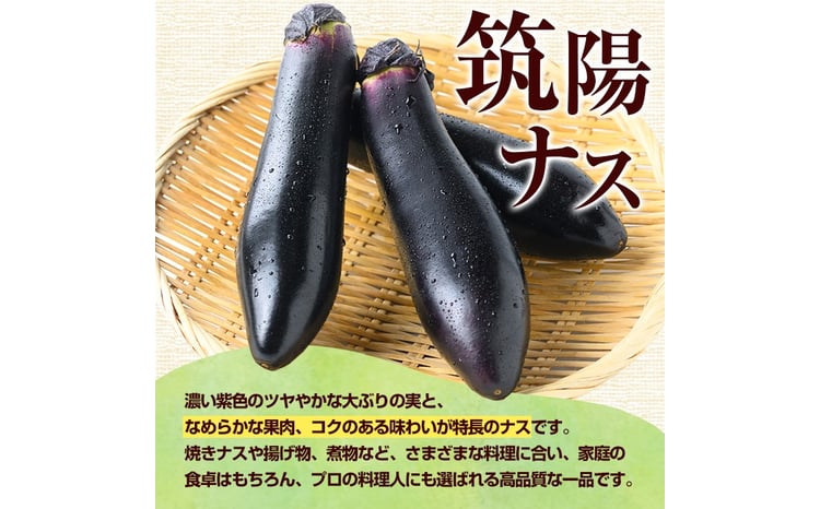s709 《期間限定》＜訳あり＞ ナス 筑陽 (約5kg・25本～30本) 鹿児島