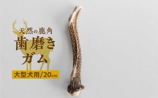 鹿角 犬用 歯磨きガム 20cm 1本 大型犬用 デンタルケア おもちゃ