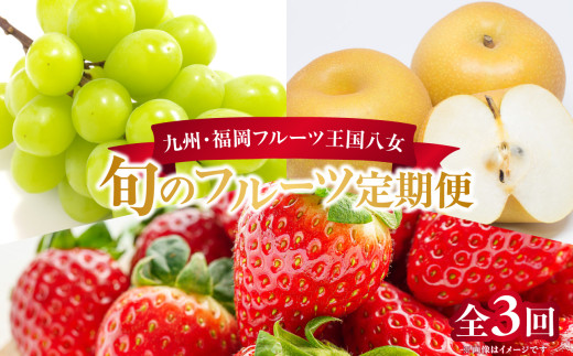 産地直送！ 梨(豊水) 約5kg 【2026年8～9月発送】九州・福岡フルーツ