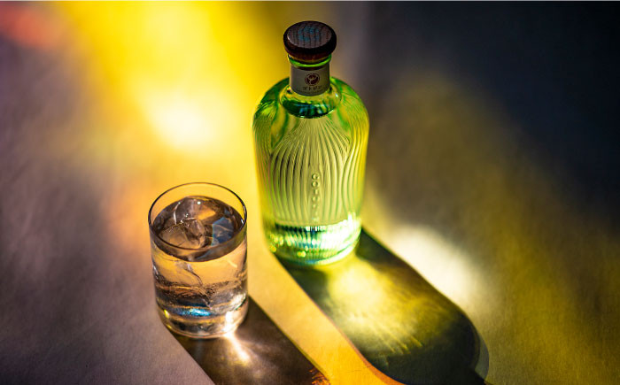 6回定期便】GOTOGIN（ゴトジン）500ml クラフトジン 五島市/五島つばき