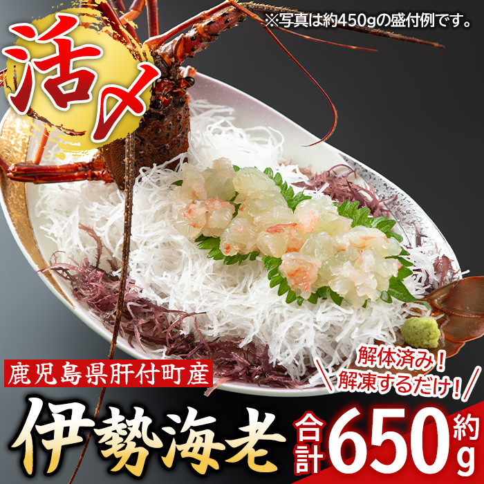 C47003 【活き〆冷凍】肝付町内之浦産伊勢海老(えっがね)の刺身(約650g