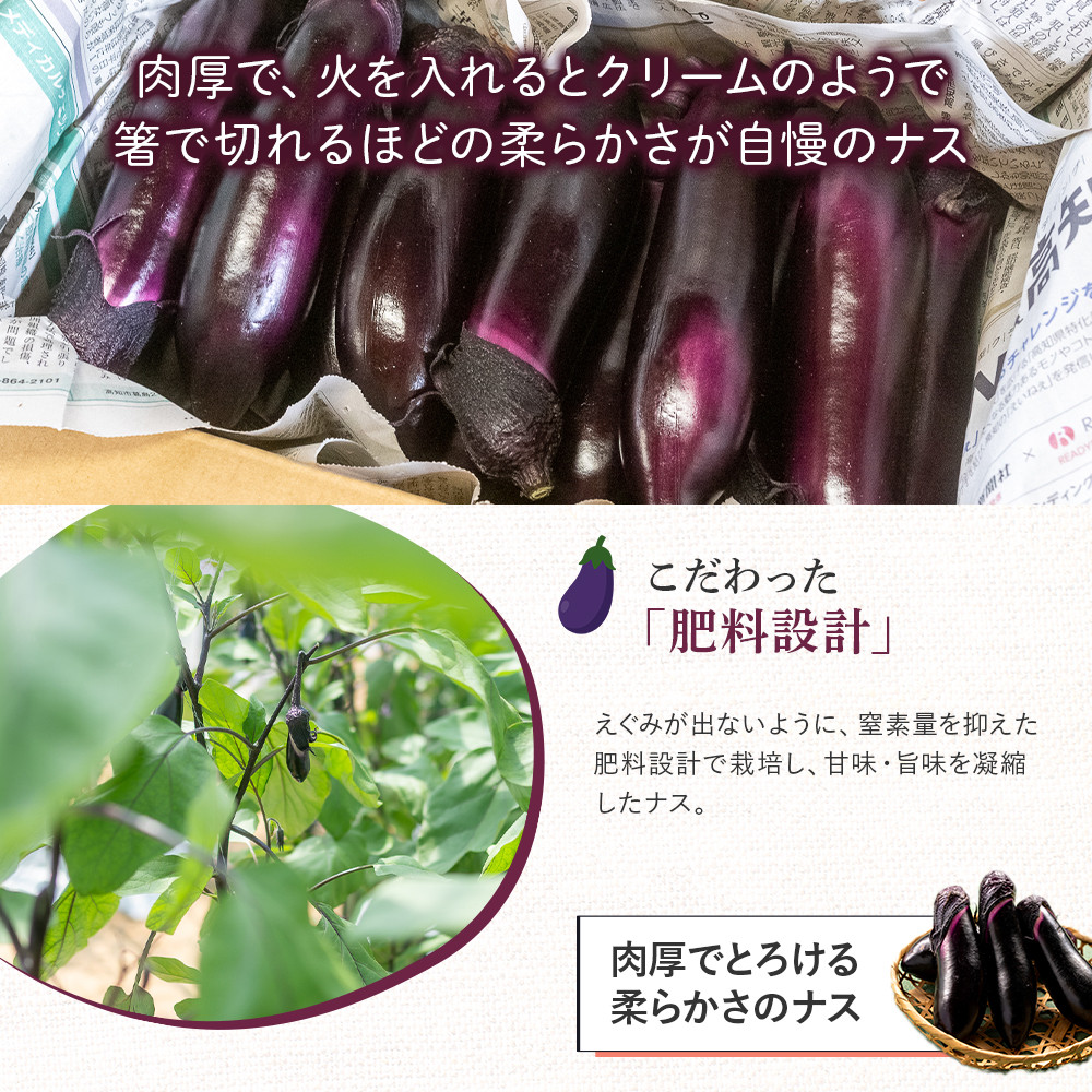 期間限定】 焼いてトロける！三浦農園のトロなす1kg 栽培期間中農薬