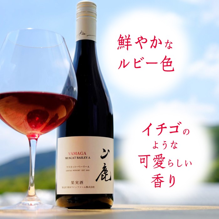 赤ワイン・辛口 マスカット・ベーリーA「山鹿」750ml ギフト箱入り