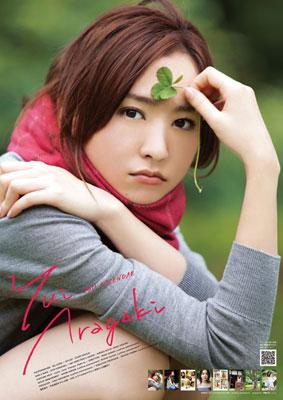 新垣結衣2007年カレンダー未開封