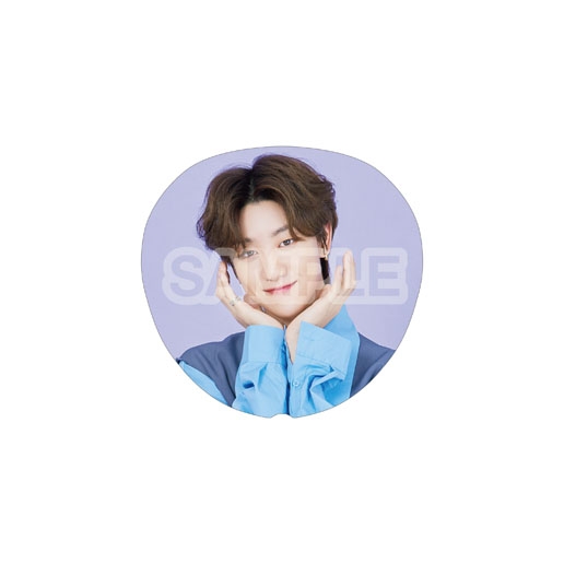 うちわ B(THE 8)/ SEVENTEEN 2020 JAPAN DOME TOUR ＜SVT