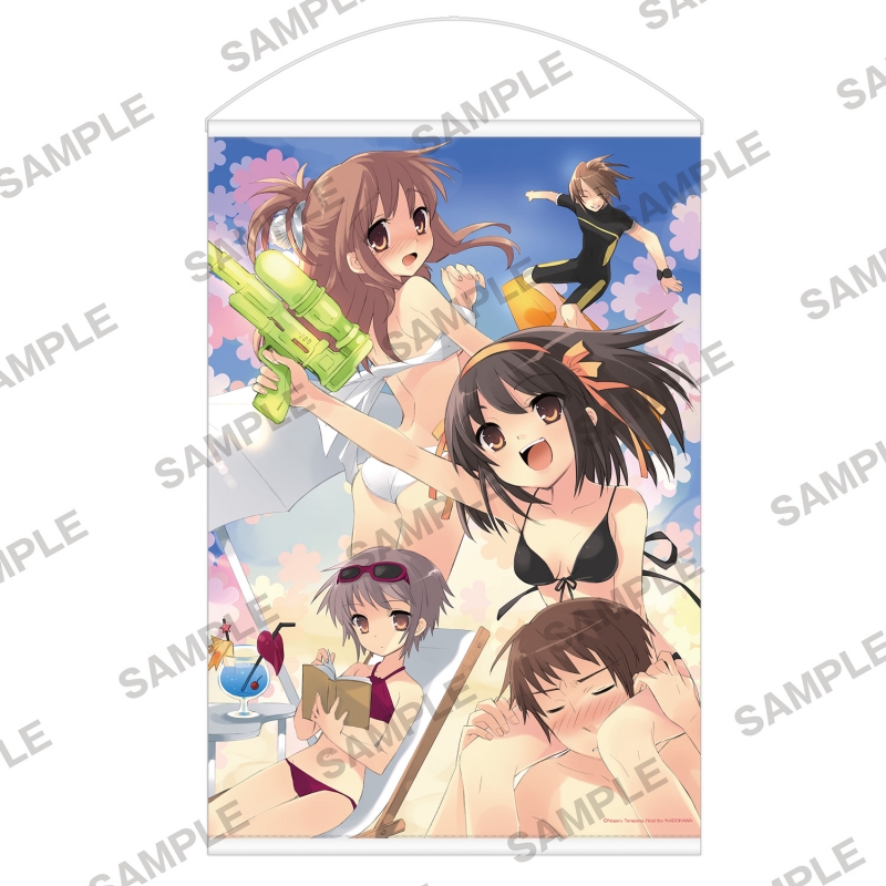 ヴァイスシュヴァルツ 涼宮ハルヒの憂鬱 水着のハルヒ レア 中古 引退