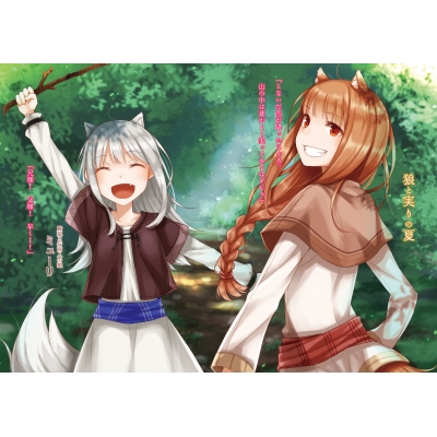 狼と香辛料 湯のみ 狼と香辛料 MERCHANT MEETS THE WISE WOLF】賢狼