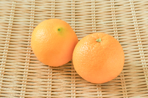 ネーブルオレンジ（4L） 【業務用食材の仕入れなら八面六臂】