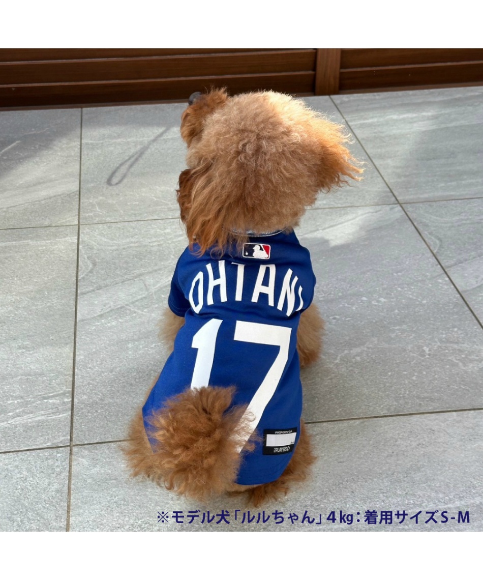 犬 服 ドジャース 大谷ジャージ ブルーXL SHO-4006B-XL | スポーツ用品