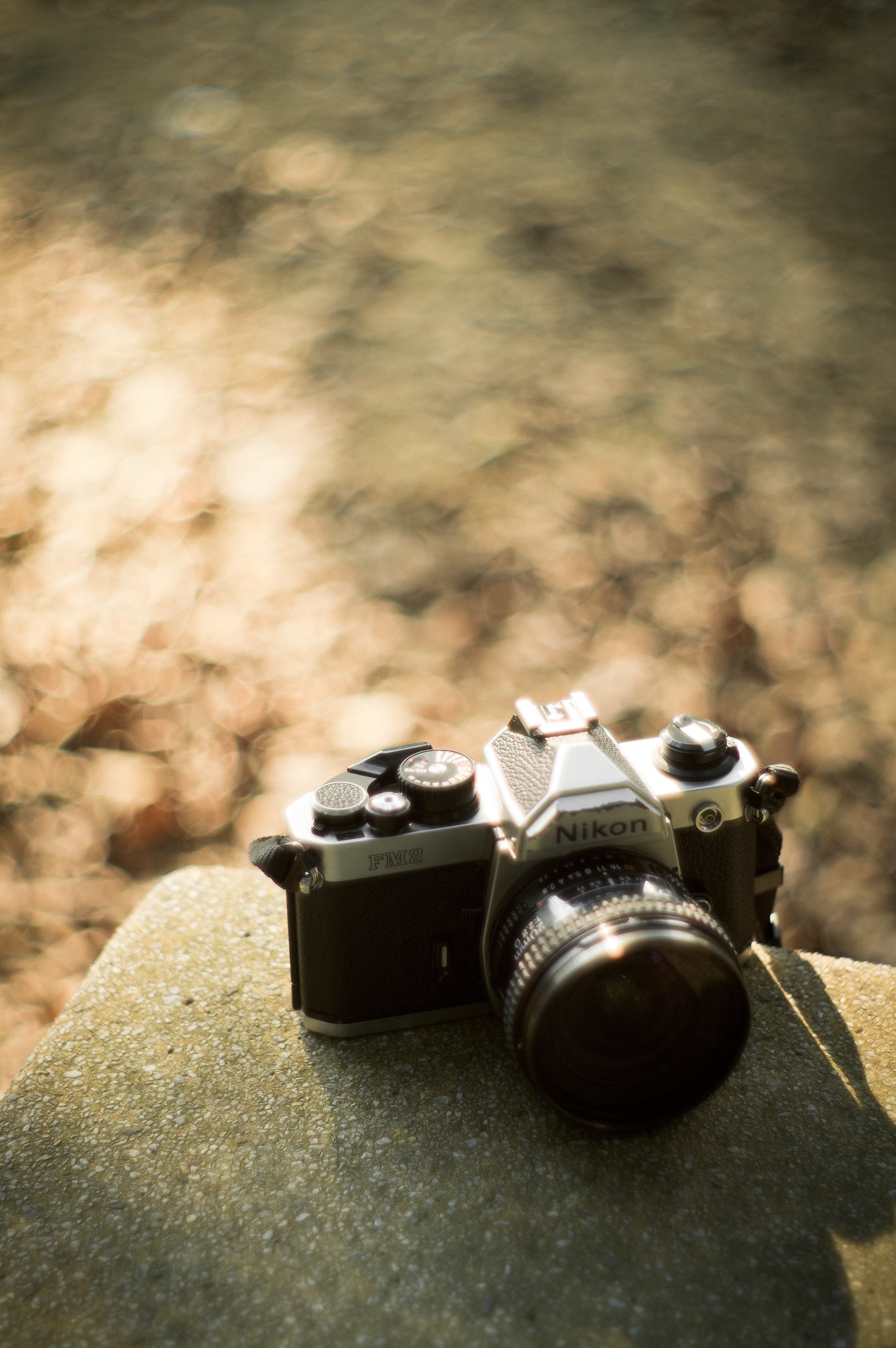 Nikon FM2 一眼レフカメラ 28-70mmレンズ付き Nikon FM2 一眼レフ