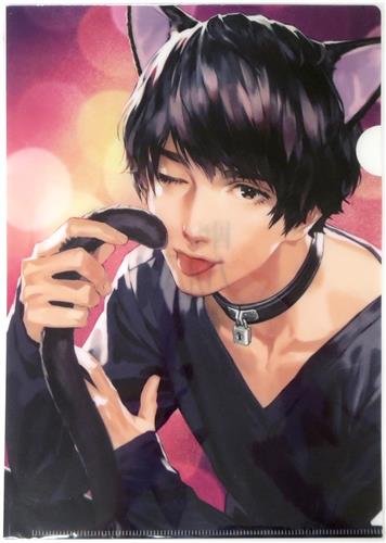 囚われのパルマ ハルト アオイ チアキ クリアファイル 特典 カプコン