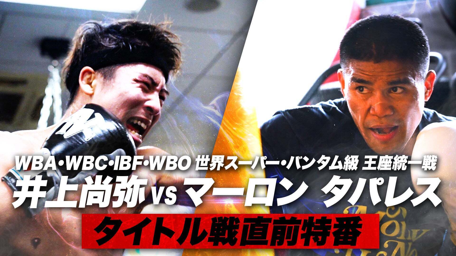 井上尚弥vsマーロン・タパレス戦 プレミアムチェア 井上尚弥vsマーロン