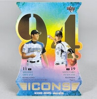 ベルセルクTCG ガニシュカ レアパラレル BK3 38/64 ベルセルクTCG