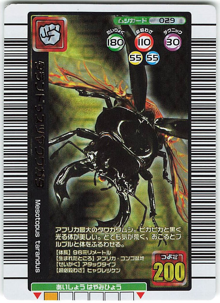 ムシキングタランドゥスツヤクワガタ