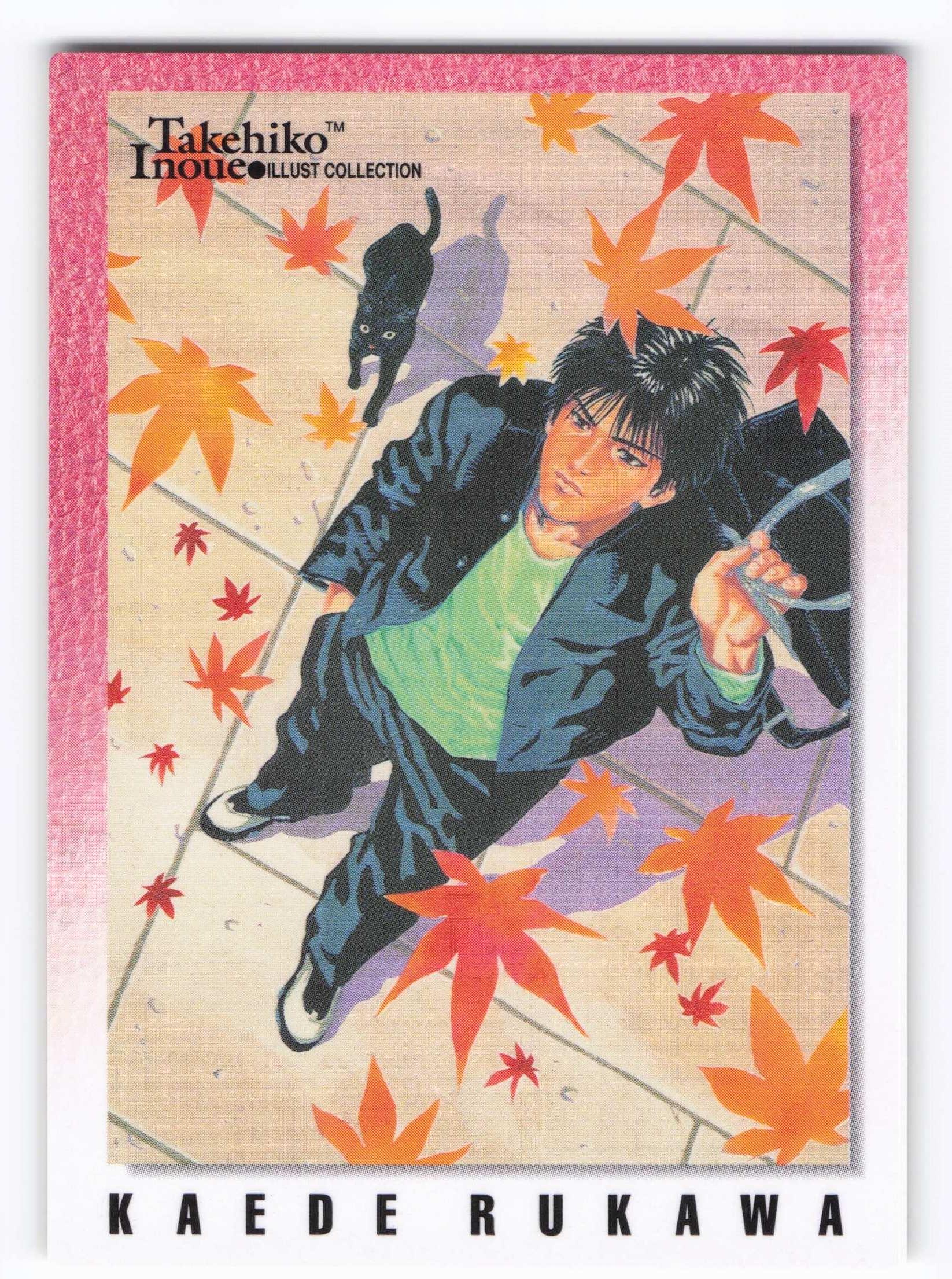 BGS9.5] カードダスマスターズスラムダンク桜木流川