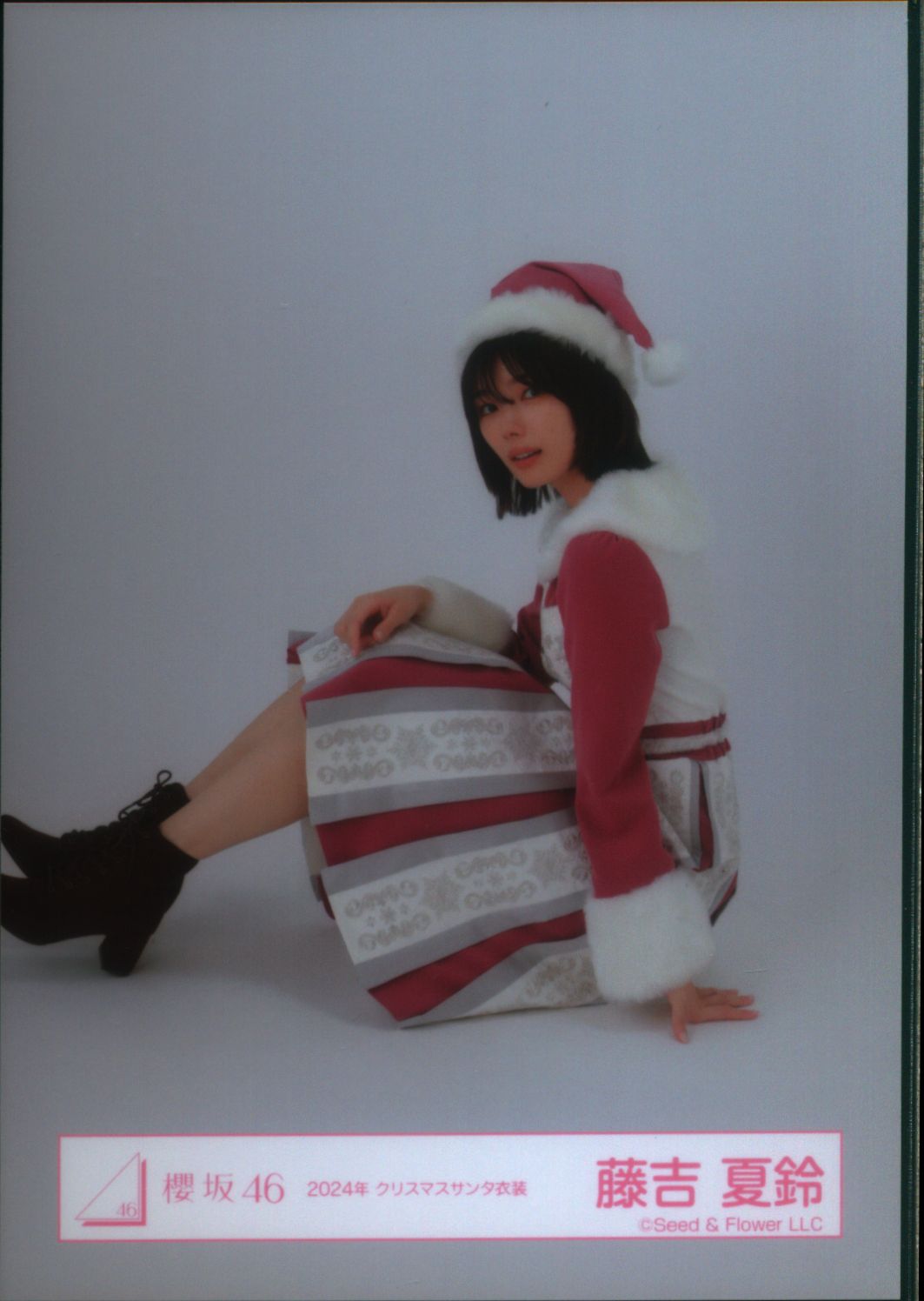 櫻坂46 生写真 クリスマスサンタ ライブ とうぶつ 16種コンプ 藤吉夏鈴