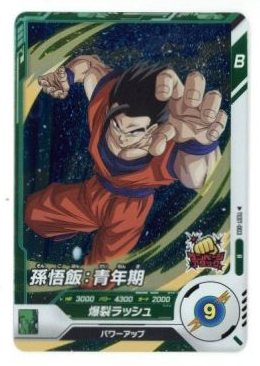 美品】ドラゴンボールデータカードダス ロケテ版 孫悟飯少年期激レア