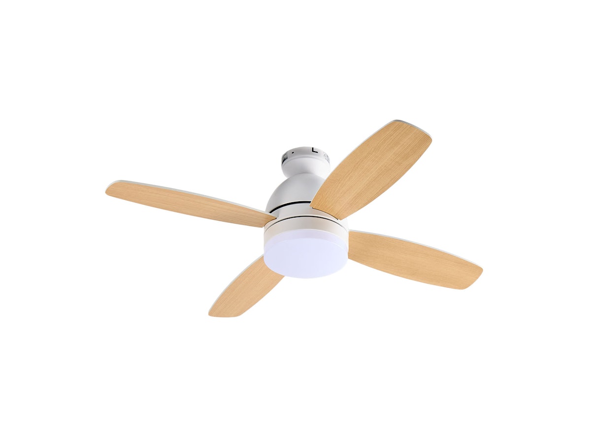 22b507a4bfbdeff461a9578742ebb6