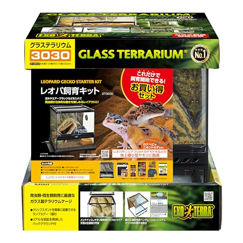 爬虫類飼育の用品