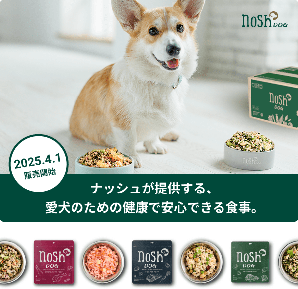 新サービス開始】愛犬の食事もナッシュ品質へ。「nosh DOG」ついに登場