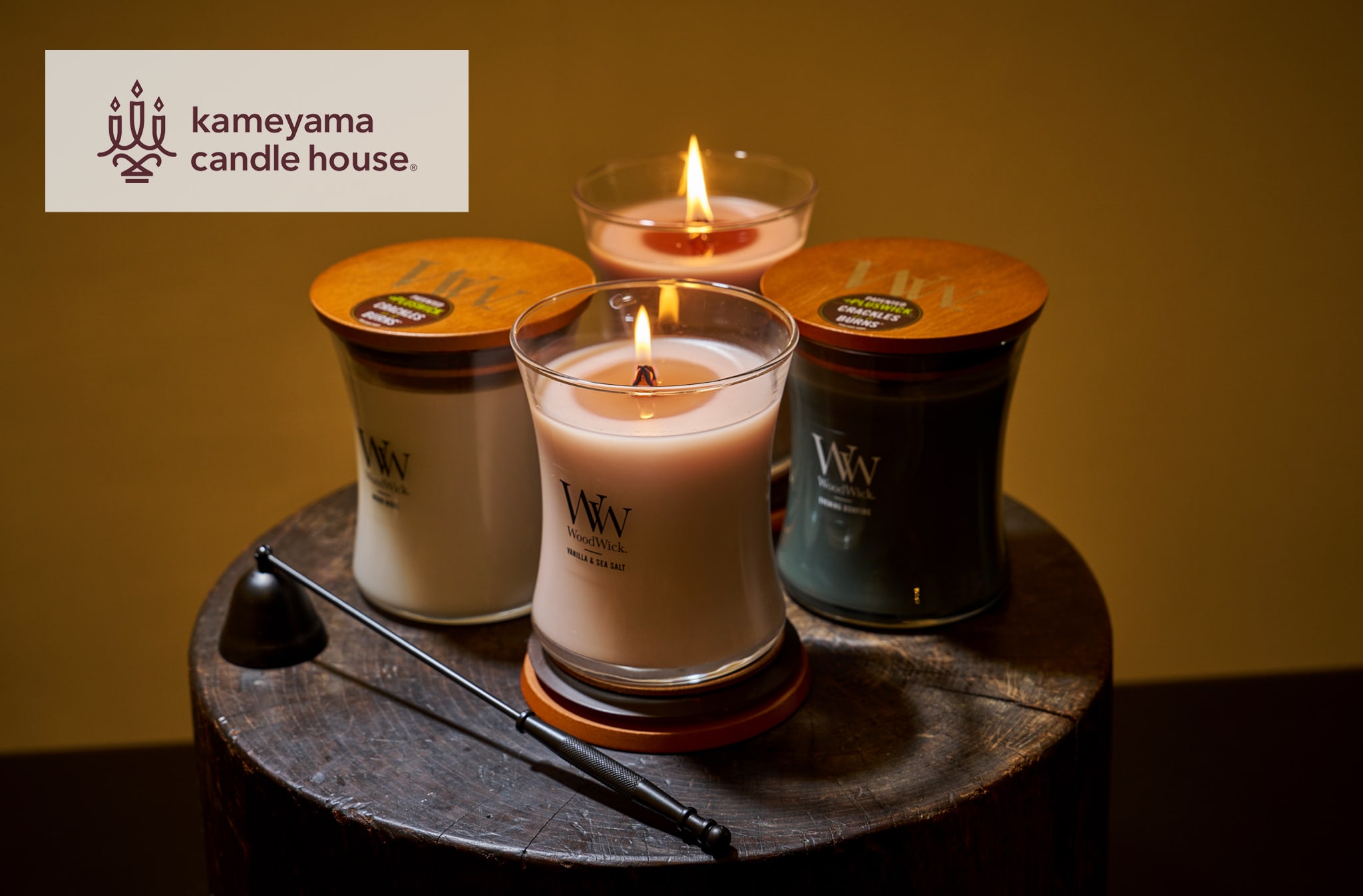 kameyama candle house コラボレーション – 育てるタオル 公式online store