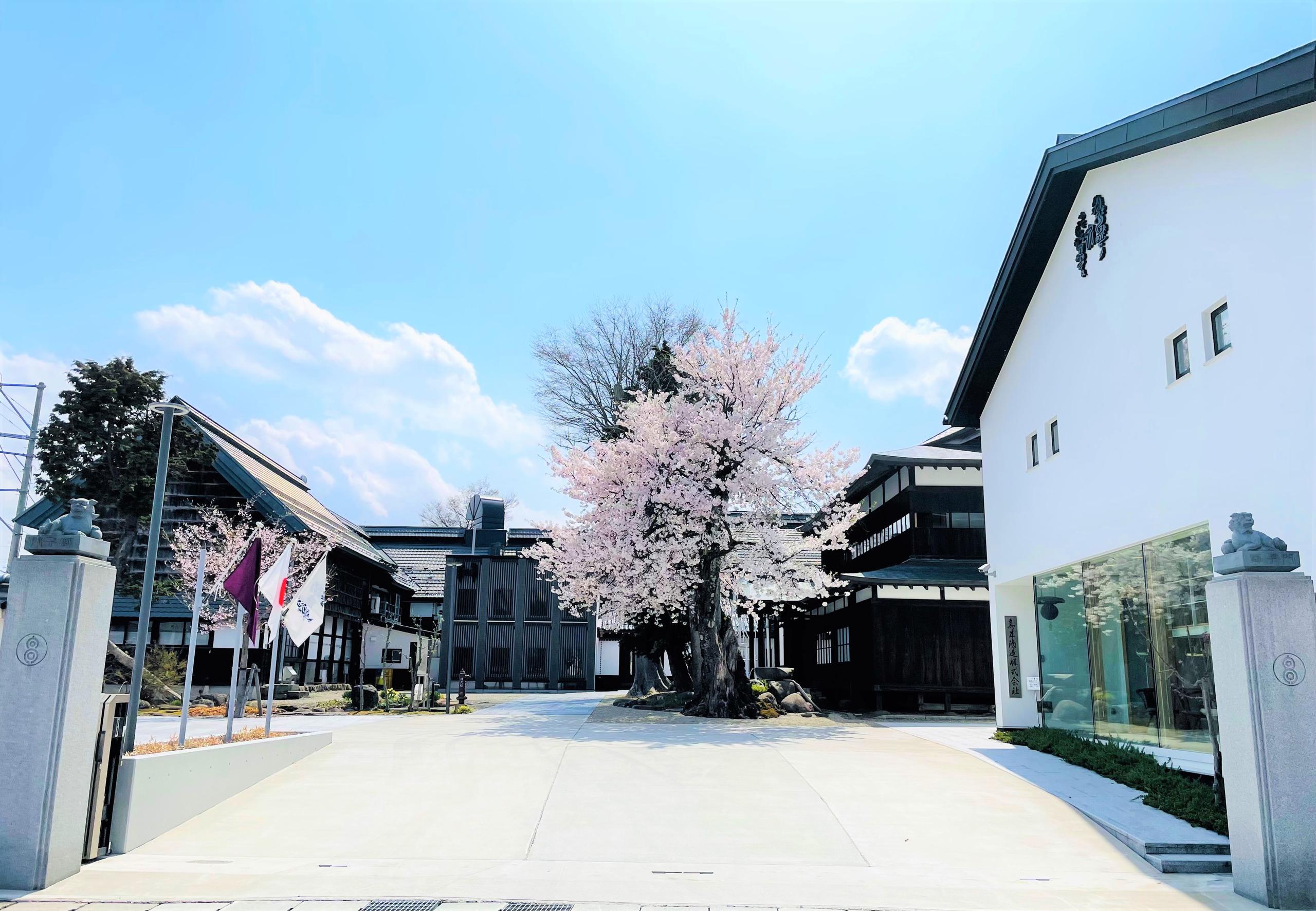 十四代 中取り純吟 赤磐雄町 | Sakenomy - 日本酒を知り、日本を知る