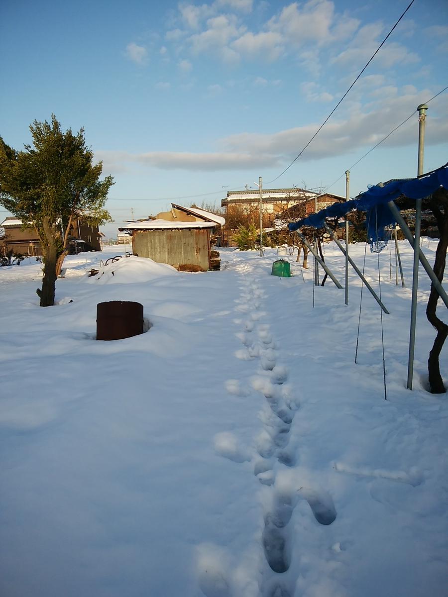 雪の降った日の廃屋 Life with Snow Yukioroshi雪おろし - YouTube