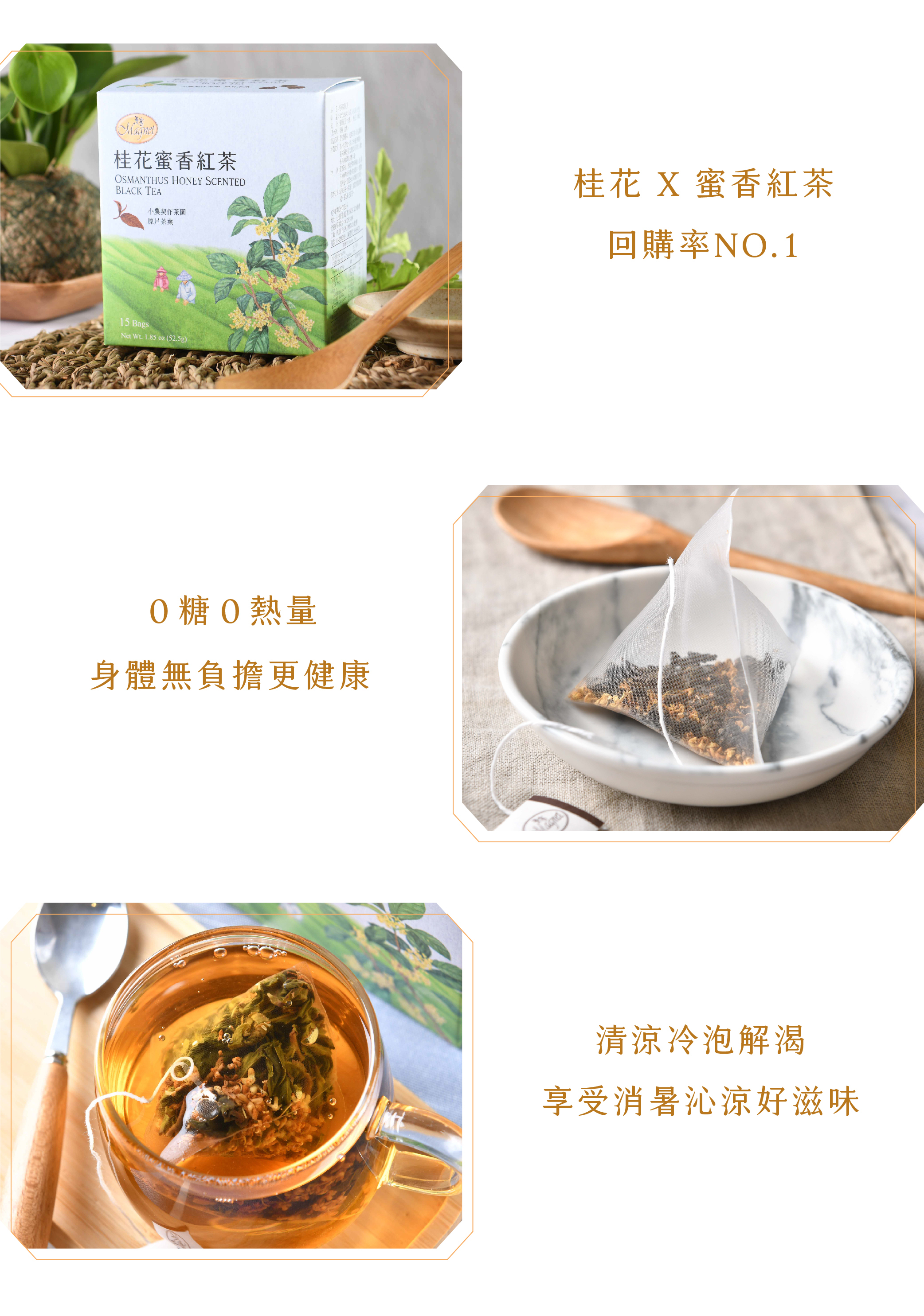 Gclef】ジークレフ 花蓮蜜香紅茶 果蜜香 高肇昫 2025年 夏茶 ① 杉林