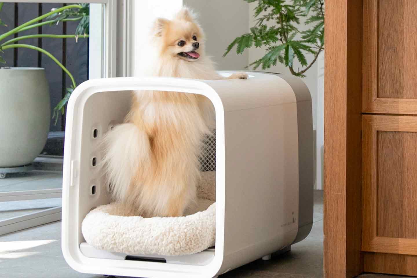 最短10分で乾く！ ペット専用ドライルーム『nello』 快適・安全に