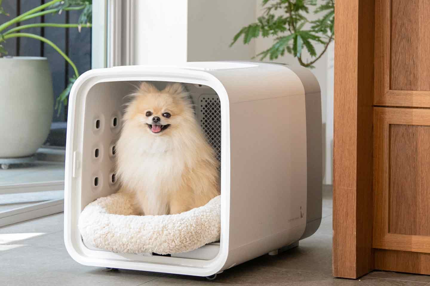 最短10分で乾く！ ペット専用ドライルーム『nello』 快適・安全に