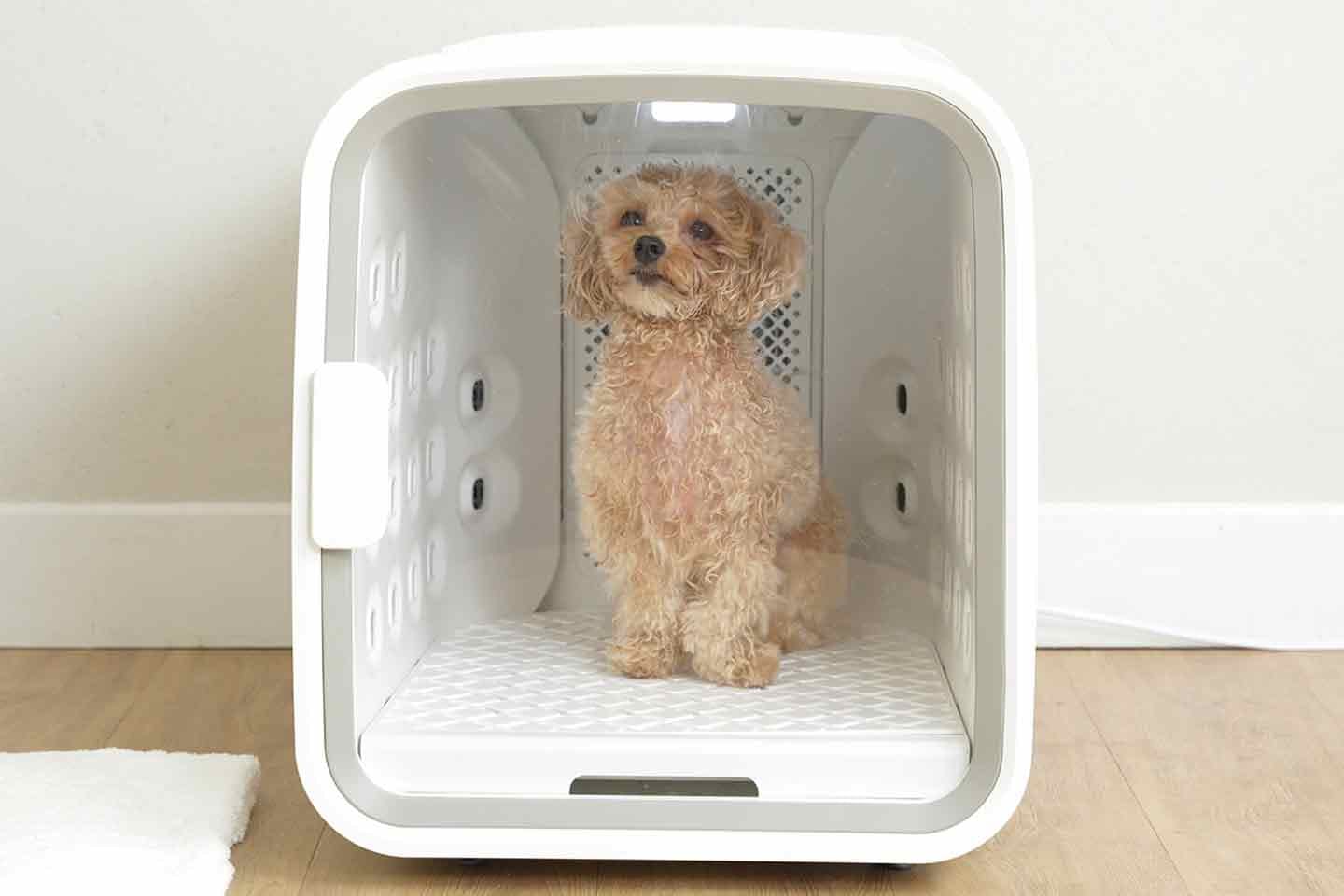 最短10分で乾く！ ペット専用ドライルーム『nello』 快適・安全に