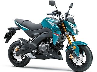 Kawasaki Z125PRO BEET プロテクターキット z125pro専用アルミ削り出し