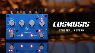 PIGTRONIX ( ピグトロニクス ) COSMOSIS 送料無料 | サウンドハウス