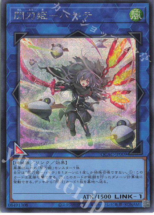 鑑定品 psa10】 極美品 世界に19枚 ハーピィレディ三姉妹 二期