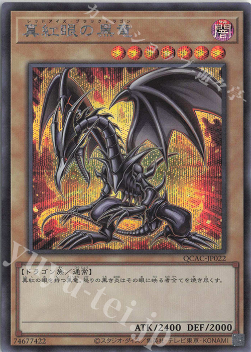 遊戯王 真紅眼の黒竜 レッドアイズ ブラックドラゴン 絵違い プリズマ