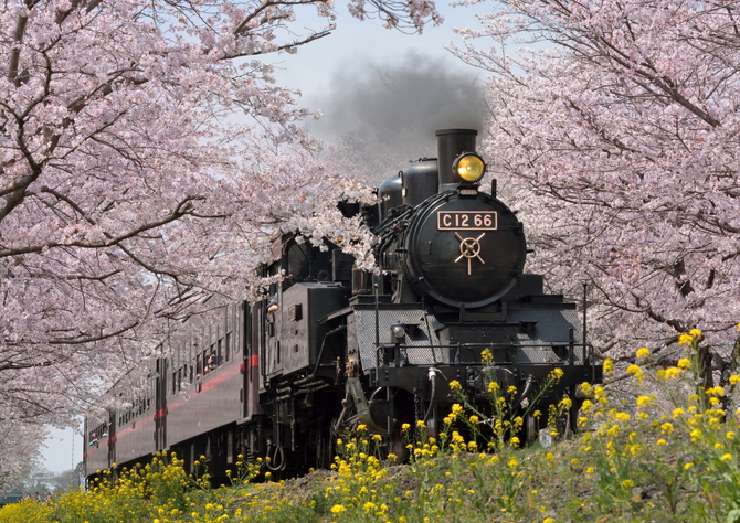 SLは永遠だ 蒸気機関車 写真集 全国】いつか乗りたい蒸気機関車（