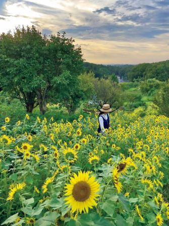 関東】夏の花畑おすすめ15選！7月8月に見頃を迎える花絶景を紹介＜2023