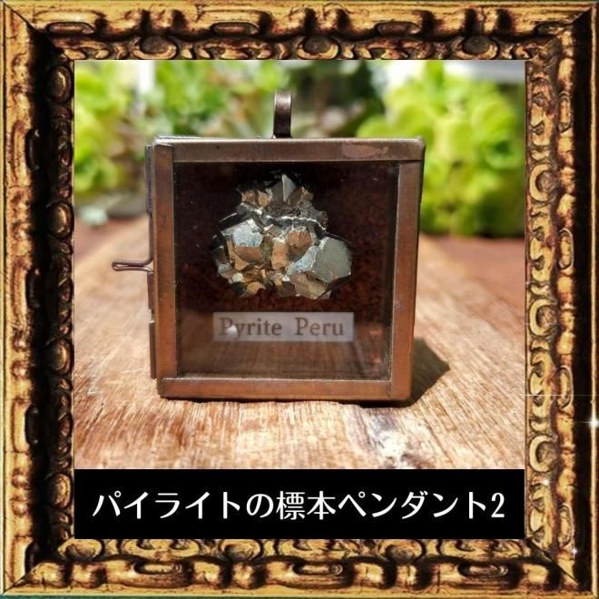 パイライト標本箱ペンダント ペルー産 鉱物標本ペンダント 【公式通販】