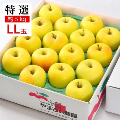 やまさん農園三戸の優りんご「ぐんま名月」約5kg入16個LL玉