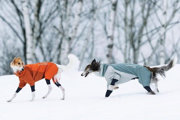 ALPHAICON （アルファアイコン）スノードッグガード サイズS S