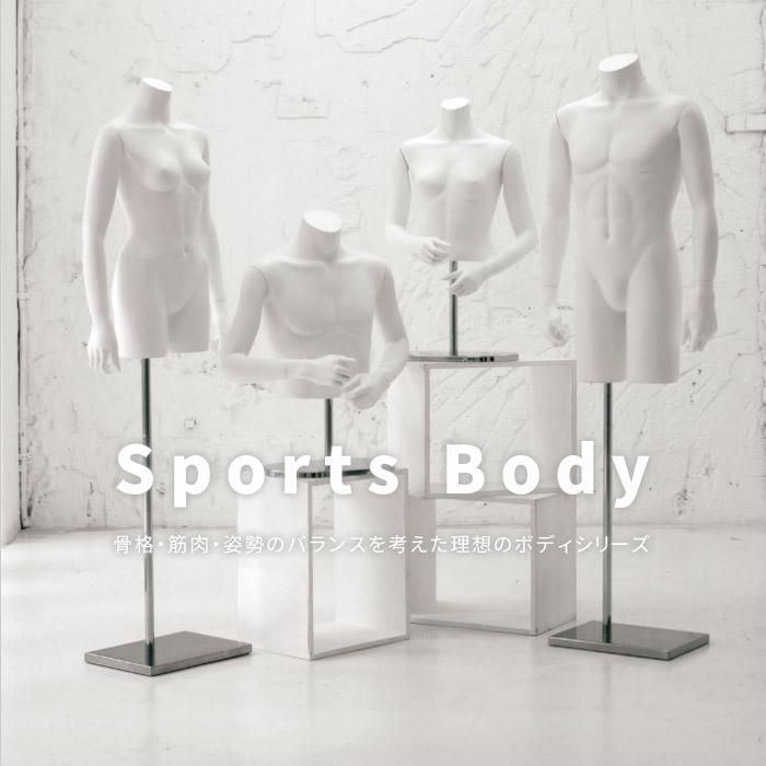 卓上トルソー レディース ボディ スポーツタイプ 婦人 上半身 腕なし