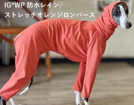 イタグレ&ウィペット】Tigerロンパース - イタリアングレイハウンド