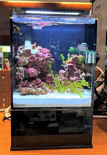 GEX AGS SLIDE OF-230 アグススライド おまけ付き