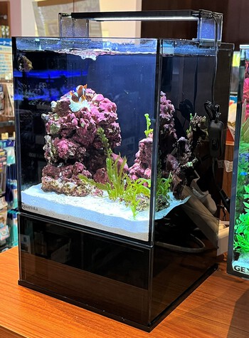 GEX AGS SLIDE OF-230 アグススライド おまけ付き