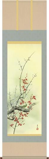 掛け軸-紅白梅に鶯／根本孝逸（尺五・桐箱・風鎮付き・緞子）花鳥画