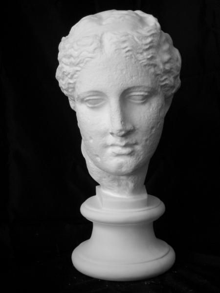 S-205 古代ヴィーナス首像（アバタのヴィーナス）（特） - 日本で唯一