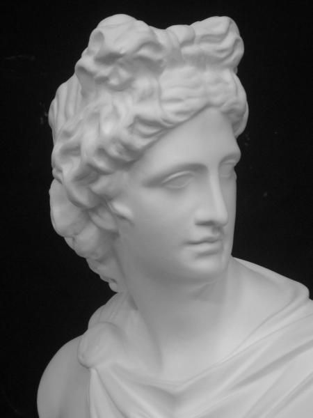 A-349 アポロ胸像（中） - 日本で唯一の石膏像専門ショップ「石膏像