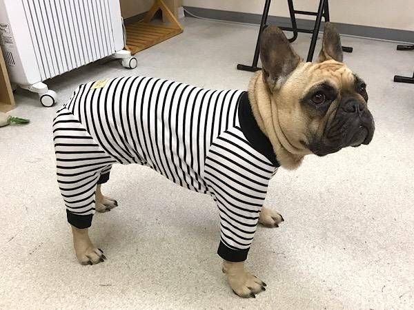 アルファアイコン ALPHALCON スパンニットカバーオール ネイビー ML