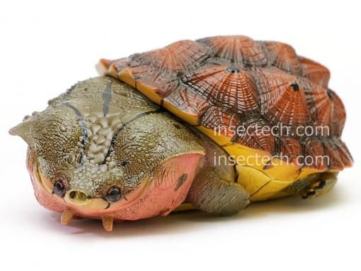 使用済み世界切手560種 動物昆虫宇宙乗物等 Yahoo!オークション